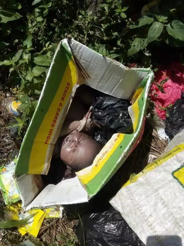 Abandoned Baby Found Dead, This Morning, At A Refuse Dump Along Iwehrekpokpo Road, Ughelli North, Delta State